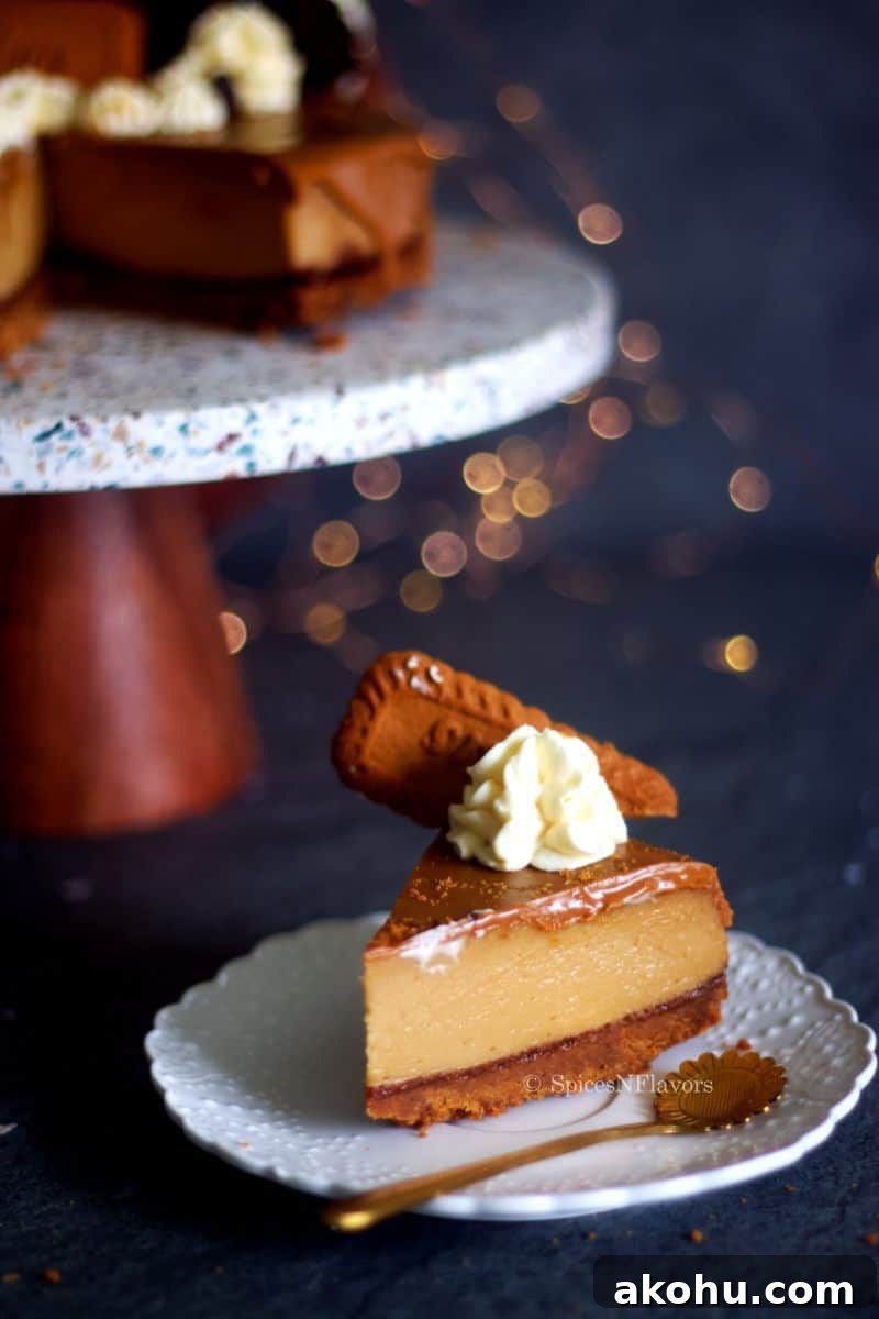sliced image of biscoff cheesecake placed on a white plate