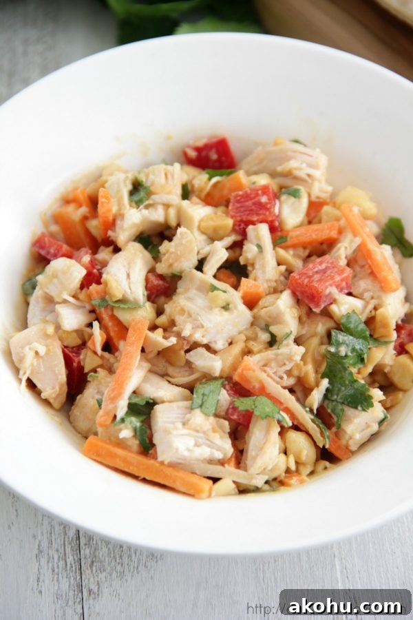 Peanut-Sauced Chicken Pitas