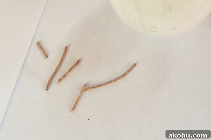Image shows several small pieces of twine cut next to the glass ornament