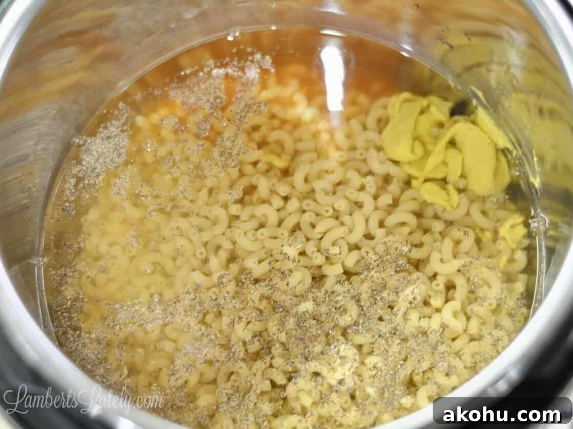 Creamy Instant Pot Macaroni and Cheese Recipe 4 macaroni noodles, water, hot sauce, mustard, salt, and pepper in an instant pot.
