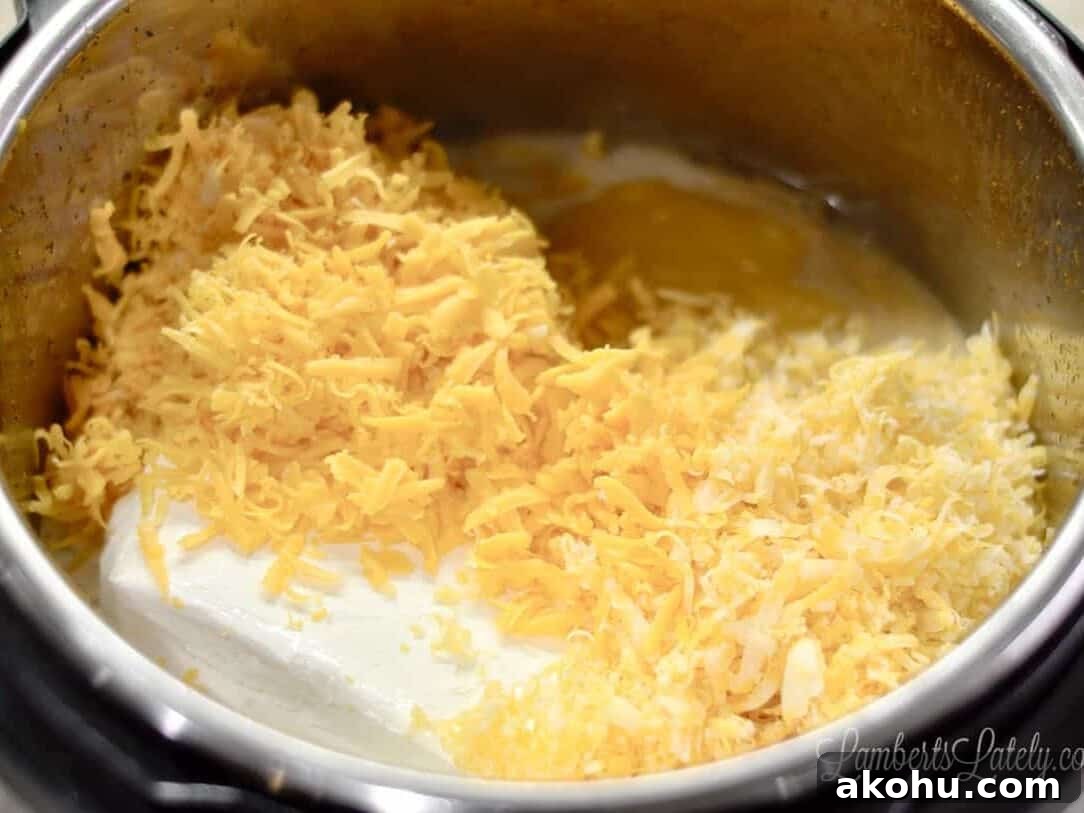 Creamy Instant Pot Macaroni and Cheese Recipe 6 cheese and cheese soup added to the instant pot.