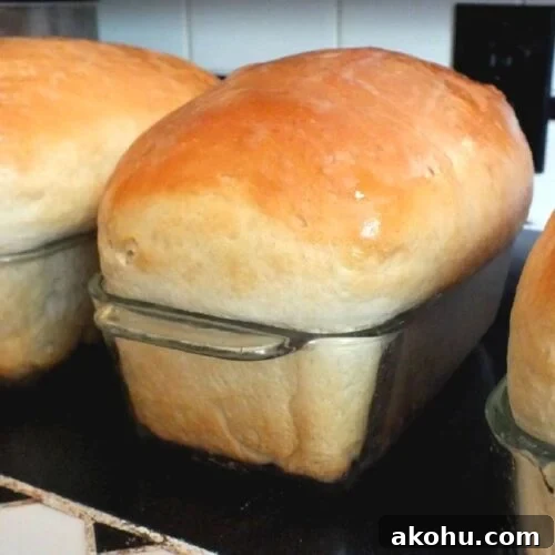 Loaves of baked bread.