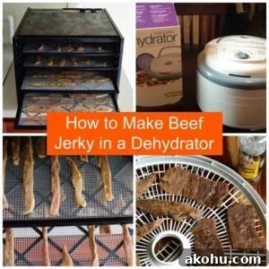 Learn how to make Beef Jerky in a dehydrator. It's easy, fast, and delicious! | Jerkyholic.com