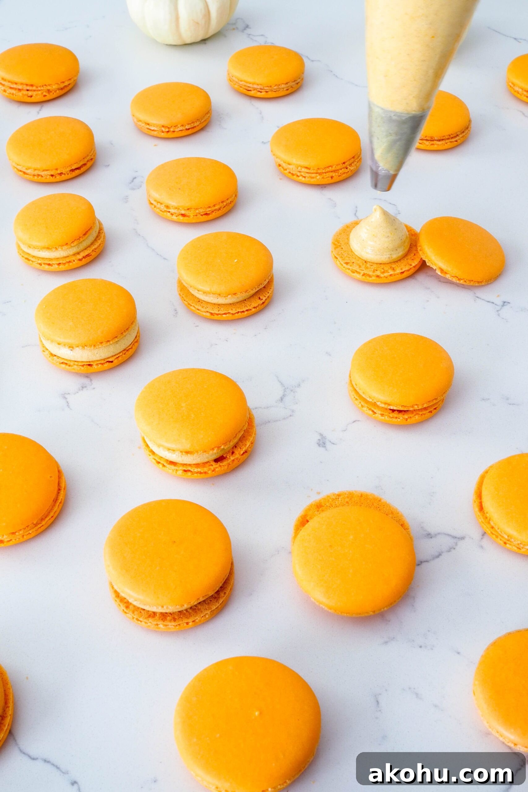 A piping bag fills one macaron, with a smattering of other macarons, filled and unfilled, around it.
