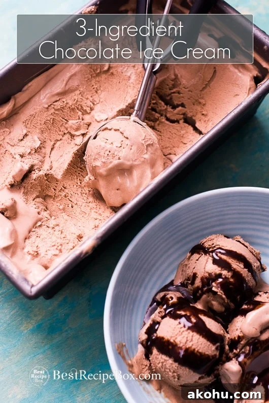 No Churn Easy Chocolate Ice Cream Recipe in a bowl 