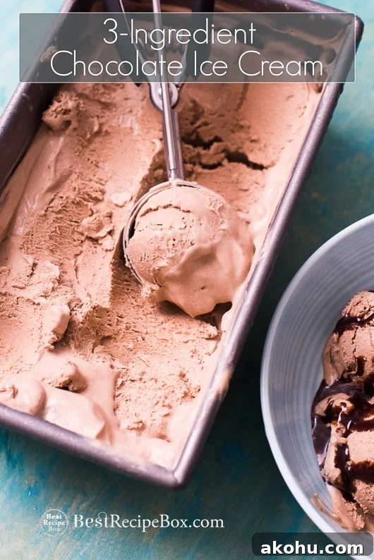 No Churn Easy Chocolate Ice Cream Recipe with just 3 Ingredients in a bowl with a ice cream scoop 
