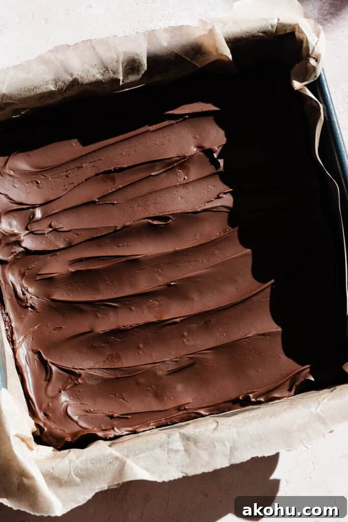 A slab of frozen nutella.