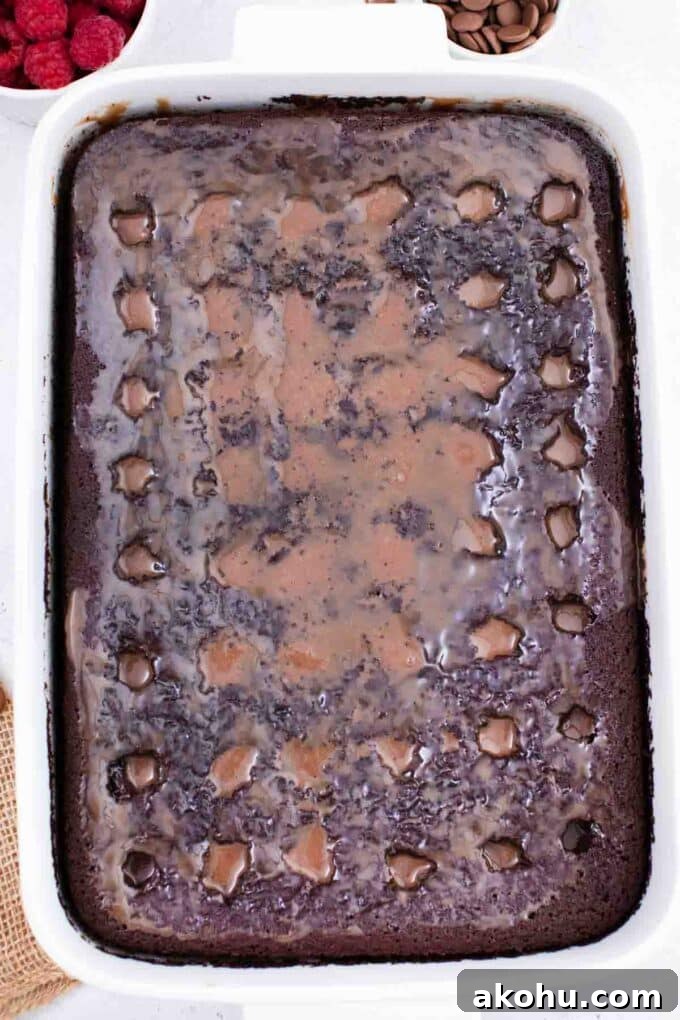 Chocolate Baileys Poke Cake Recipe 11 a chocolate poke cake topped with chocolate sauce