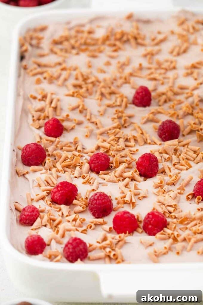 Chocolate Baileys Poke Cake Recipe 13 topping a chocolate cake with fresh raspberries