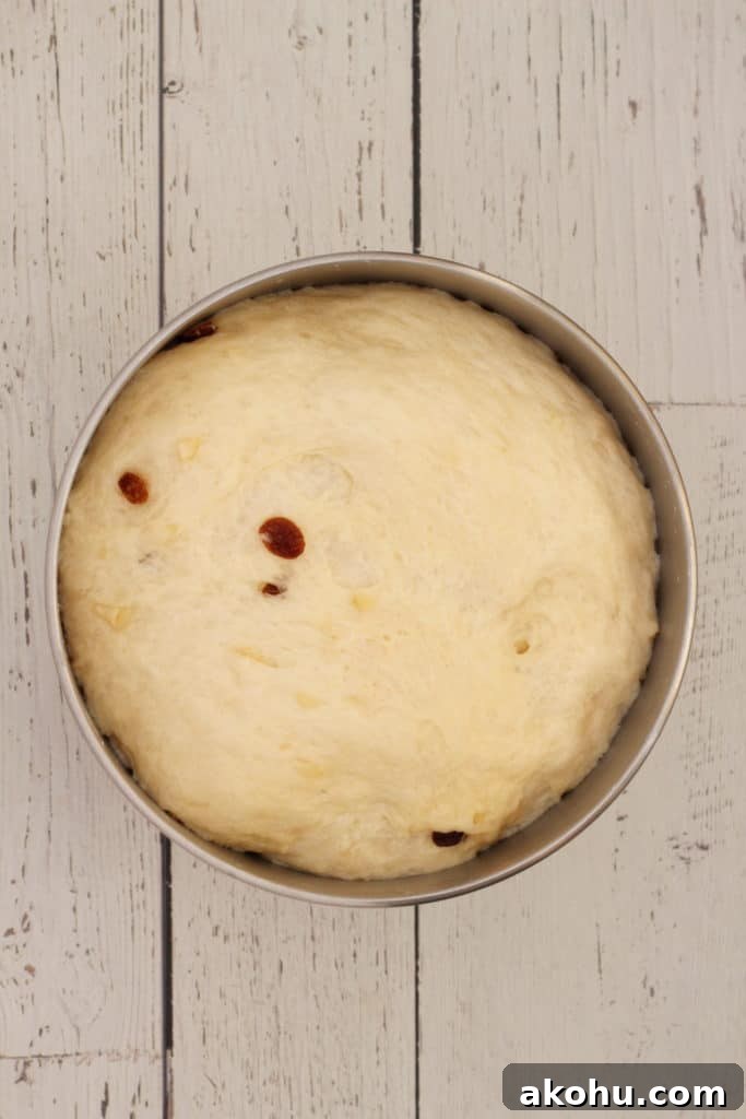 Easter Brioche Buns: Judas Ropes Recipe 6 Prove the dough for first time