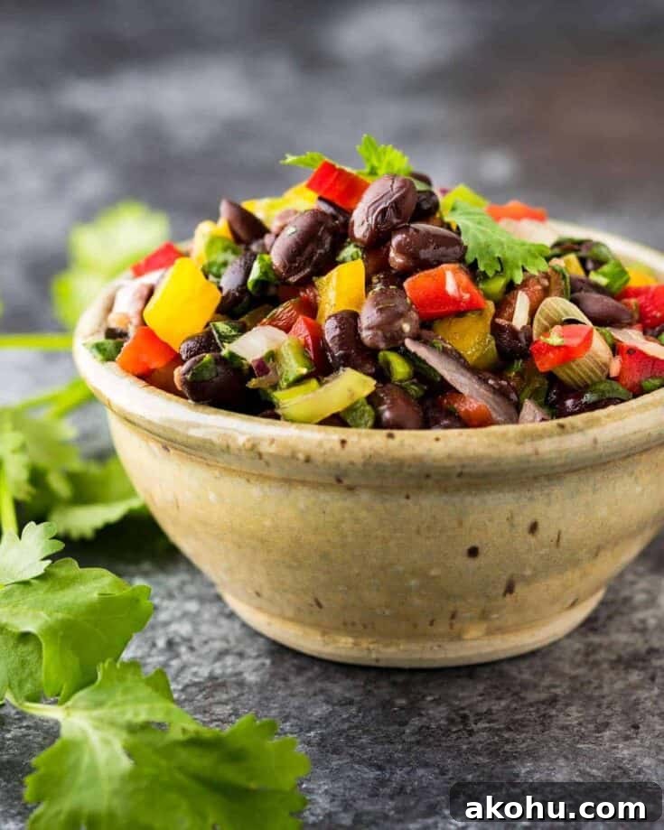 Tangy Zesty Black Bean Dip